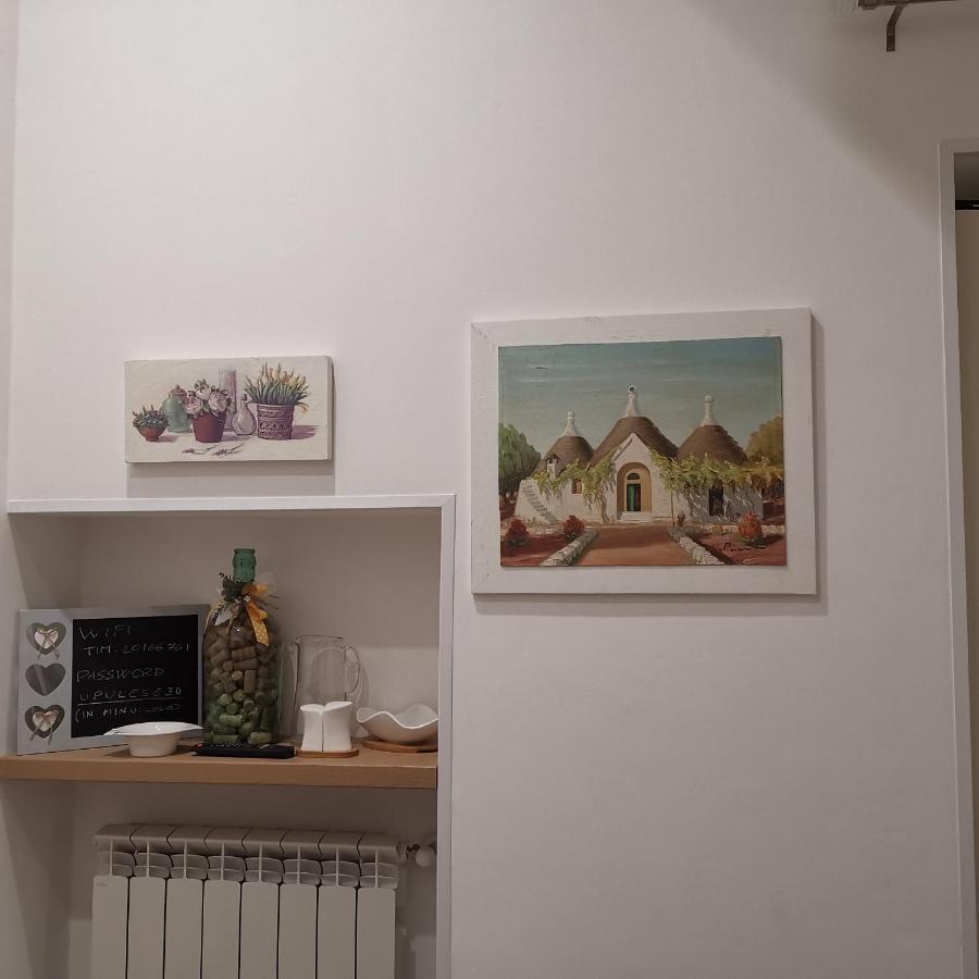 Casa Magnolia * Montalbano (Apulia)